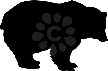 Silhouette brown bear on a white background.