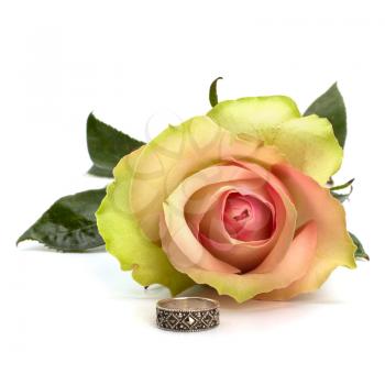 Beautiful rose with wedding ring  isolated on white background