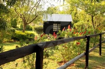 Wooden Dollhouse with Tin Roof in Garden