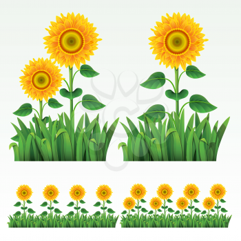 Royalty Free Clipart Image of Sunflower Elements