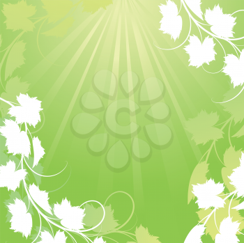 Royalty Free Clipart Image of a Vine Background With Sunlight