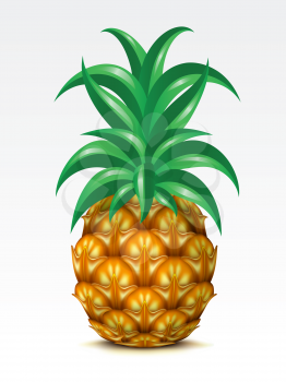 Royalty Free Clipart Image of a Pineapple