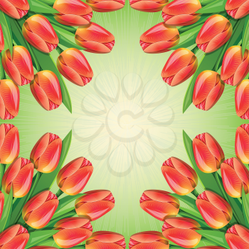 Royalty Free Clipart Image of a Tulip Border