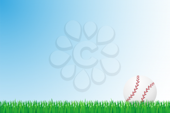 baseball grass field vector illustration isolated on background