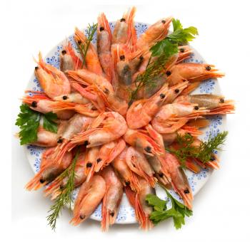 shrimp with parsley on a plate
