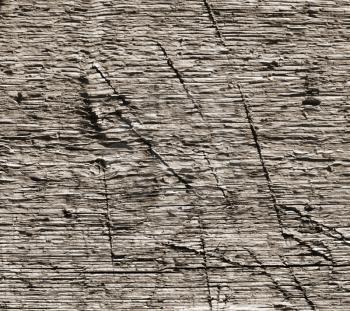 Wooden texture