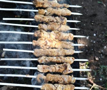 Shish kebab 