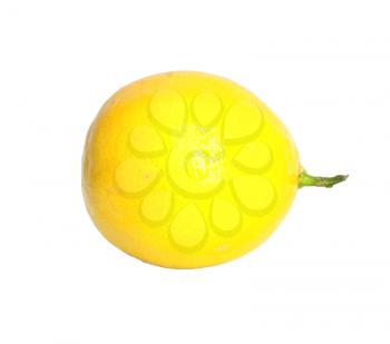 Lemon isolated on white background with copy space 
