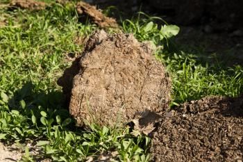 dung for heating furnace