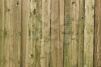 Wooden background