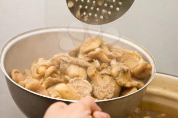 Mushrooms cook in a pan