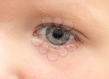 the child's eye. macro