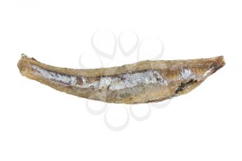 salted anchovies on a white background