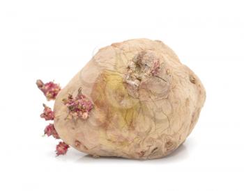 old potatoes on a white background