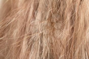 background Streaked hair. macro