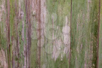 old wooden background with green paint