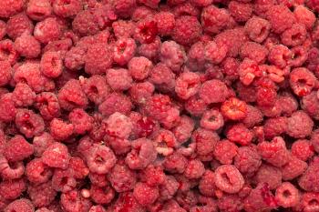 fresh ripe raspberry as a background