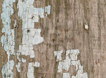 old wooden background with cracked paint
