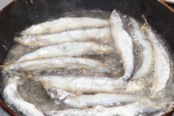capelin in the flour fried in a pan