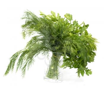 parsley and dill on a white background. macro