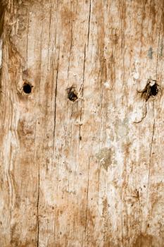 abstract old wooden background