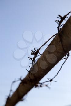barbed wire on tube