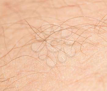 the hair on the human skin