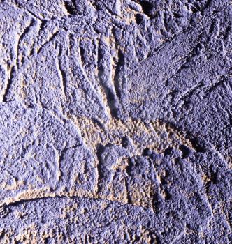 purple decorative plaster as a background