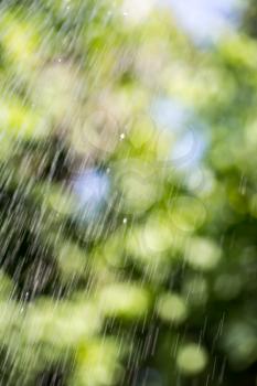 splashing water on nature. background