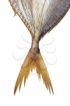 the tail of a fish on a white background