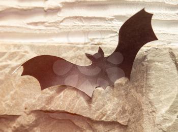 Paper on the wall of the bat on Halloween