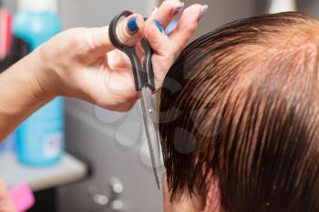 Female hair cutting scissors in a beauty salon