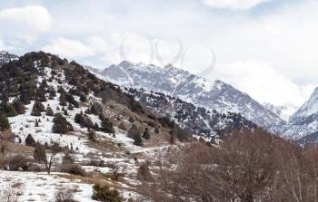 snow-capped mountains of the Tian Shan in winter