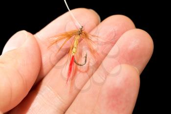 fly to catch fish in a hand on a black background