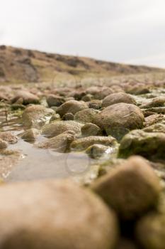 stones in the river in nature