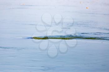 smooth surface of the water as a background