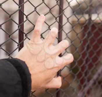 hand on a metal fence