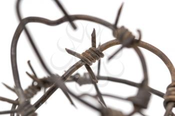 Barbed wire on a white background. macro