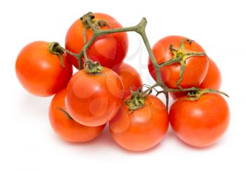 Red tomatoes isolated on a white background .