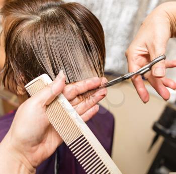 Female haircut with scissors in the beauty salon .