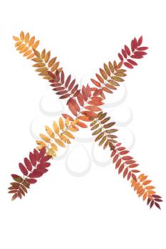 Royalty Free Photo of a Letter Made from Leaves