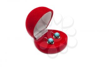 Royalty Free Photo of Earrings