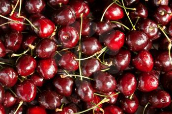 Royalty Free Photo of a Bunch of Cherries