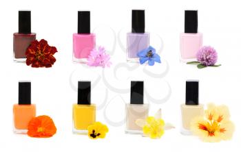 Eight bottles of nail polish with flowers on a white background.