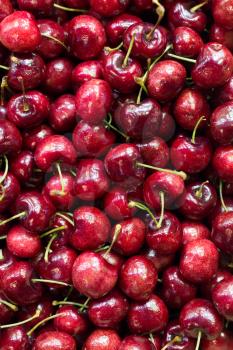 Background of Organic Cherries