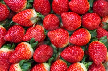 Fresh Ripe Perfect Strawberries Full Frame Background