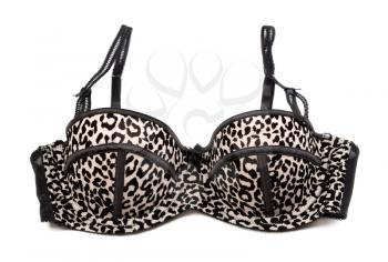 Push up bra with black lace and leopard print. Isolate on white background