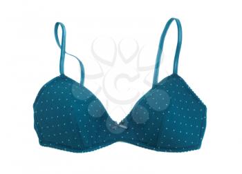 Blue bra, isolate on a white background