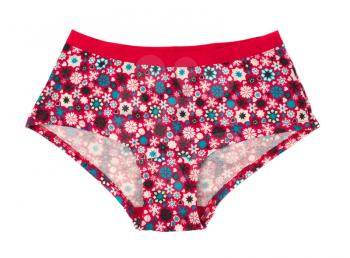 Red panties with floral pattern. Isolate on white.
