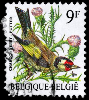 BELGIUM - CIRCA 1985: A Stamp shows image of a Goldfinch from the series Birds, circa 1985